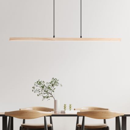 Brilliant - LED полилей на кабел ARION LED/22W/230V цвят бор