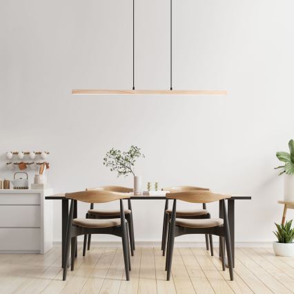 Brilliant - LED полилей на кабел ARION LED/22W/230V цвят бор