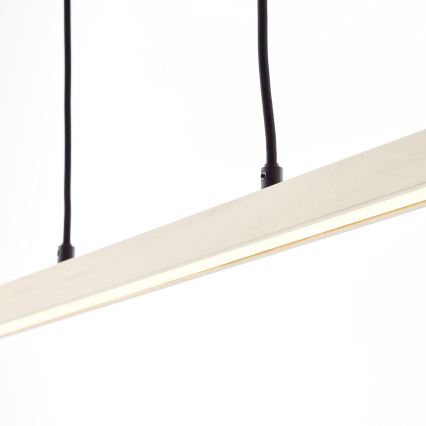 Brilliant - LED полилей на кабел ARION LED/22W/230V цвят бор