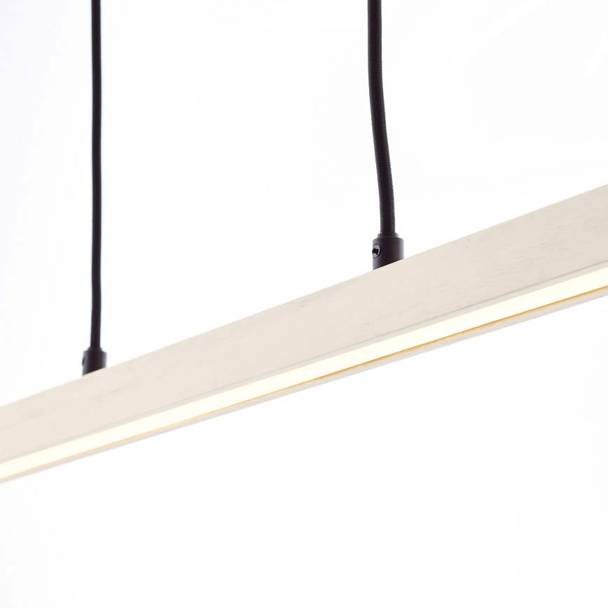 Brilliant - LED полилей на кабел ARION LED/22W/230V цвят бор