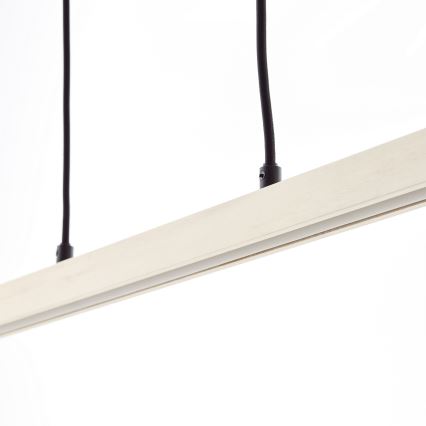 Brilliant - LED полилей на кабел ARION LED/22W/230V цвят бор