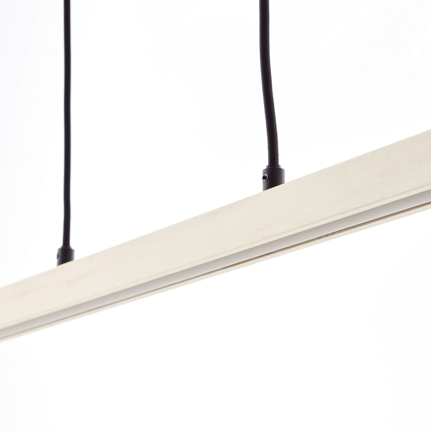 Brilliant - LED полилей на кабел ARION LED/22W/230V цвят бор