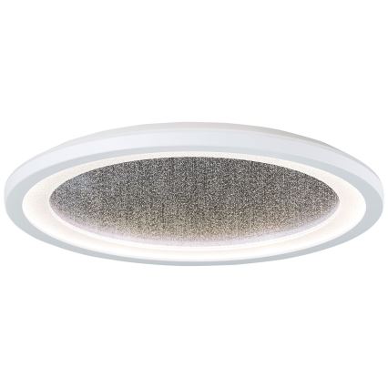 Brilliant - LED RGBW Димируем плафон TANIDA LED/22W/230V 3000-6500K + дистанционно управление
