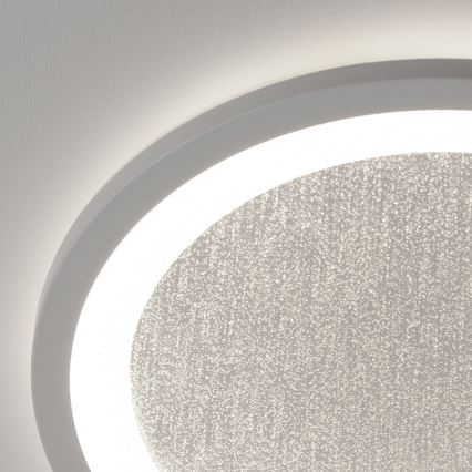 Brilliant - LED RGBW Димируем плафон TANIDA LED/22W/230V 3000-6500K + дистанционно управление