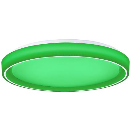 Brilliant - LED RGBW Димируем плафон FLOCO LED/34W/230V 3000-6500K Ø 49,5 см бял + дистанционно управление