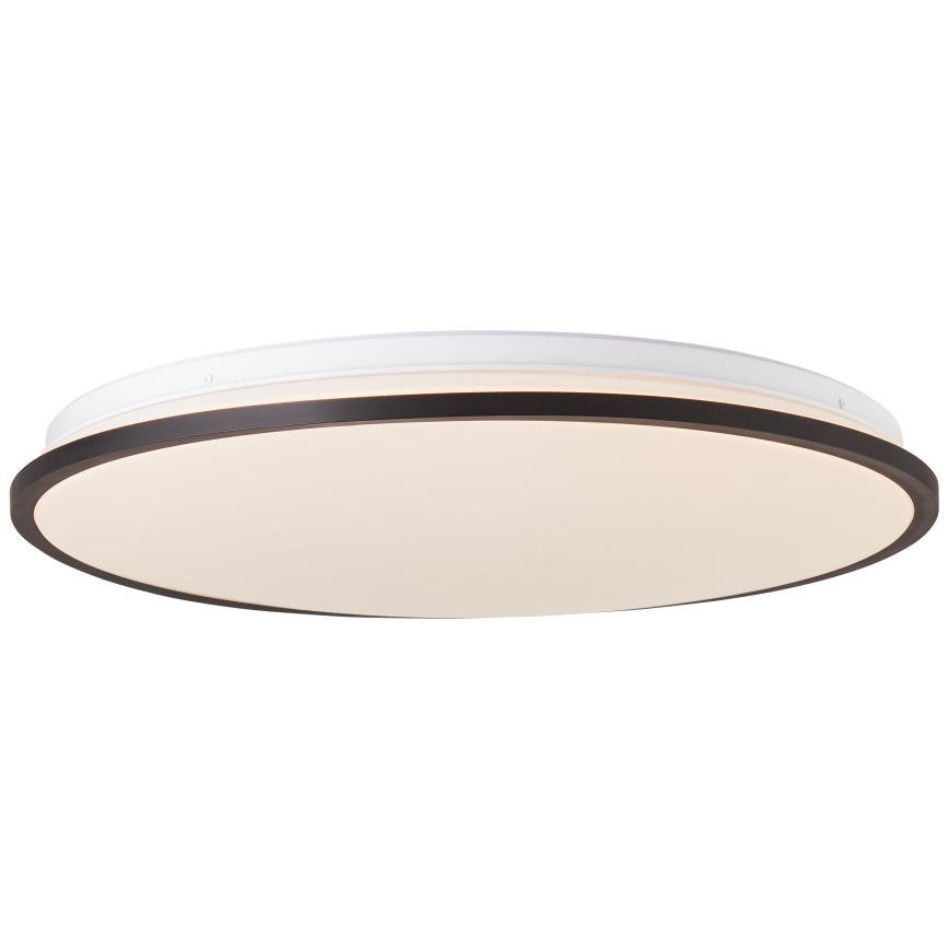 Brilliant - LED RGBW Димируем плафон HEIDA LED/30W/230V 3000-6500K + дистанционно управление