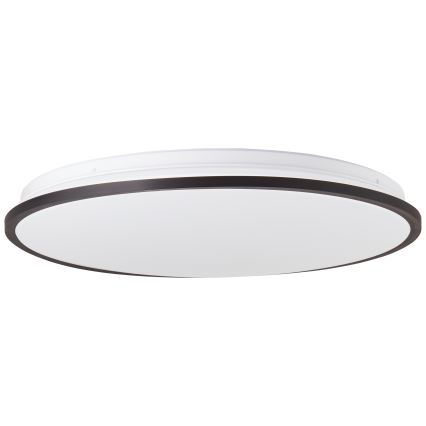 Brilliant - LED RGBW Димируем плафон HEIDA LED/30W/230V 3000-6500K + дистанционно управление