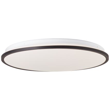 Brilliant - LED RGBW Димируем плафон HEIDA LED/30W/230V 3000-6500K + дистанционно управление