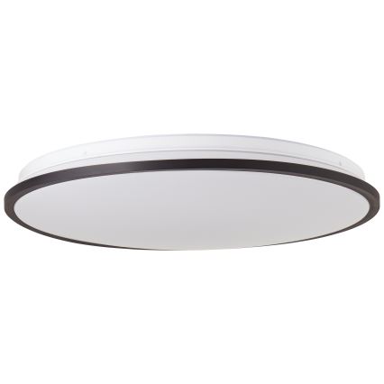 Brilliant - LED RGBW Димируем плафон HEIDA LED/30W/230V 3000-6500K + дистанционно управление