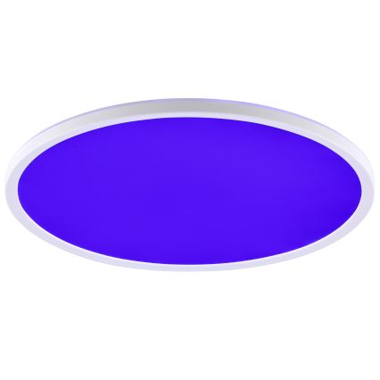 Brilliant - LED RGBW Димируемо таванно осветително тяло LUMARO LED/22W/230V 4000K Ø 42 cm бяло + дистанционно управление