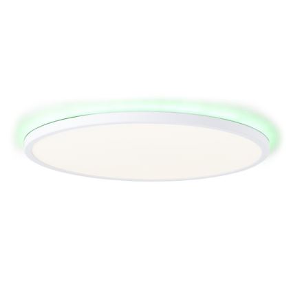 Brilliant - LED RGBW Димируем плафон SALTERY LED/22W/230V 3000-6500K + дистанционно управление