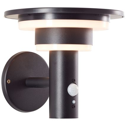 Brilliant - LED Соларен аплик със сензор GARVINA LED/3W/3,7V IP44 черен