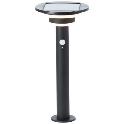 Brilliant - LED соларна лампа с сензор GARVINA LED/3W/3,7V 2000 mAh 45 см IP44 черна