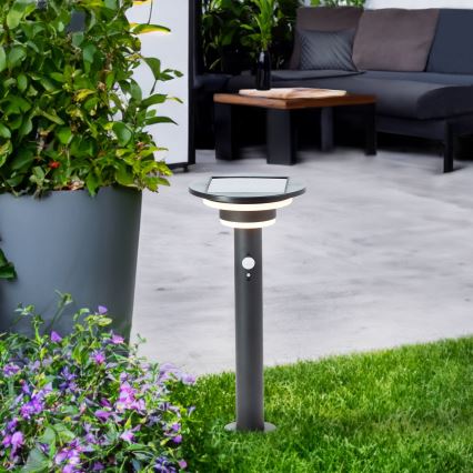 Brilliant - LED Соларна лампа със сензор GARVINA LED/3W/3,7V 45 см IP44 черен