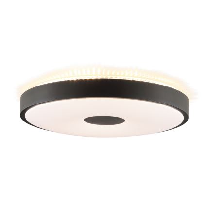 Brilliant - LED таванно осветително тяло TAVIS LED/24W/230V Ø 44,5 cm черно