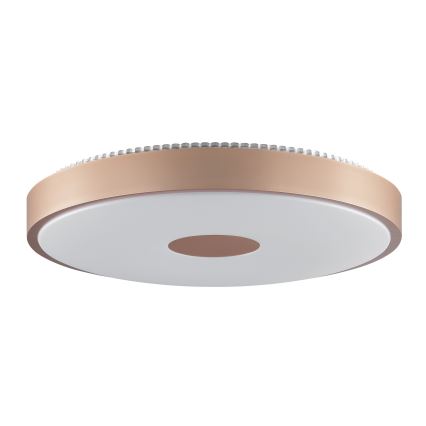 Brilliant - LED таванно осветително тяло TAVIS LED/24W/230V Ø 44,5 cm розово злато
