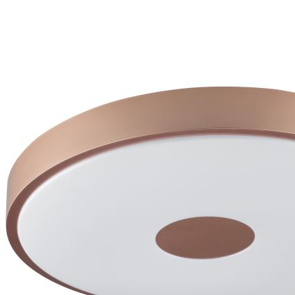 Brilliant - LED таванно осветително тяло TAVIS LED/24W/230V Ø 44,5 cm розово злато