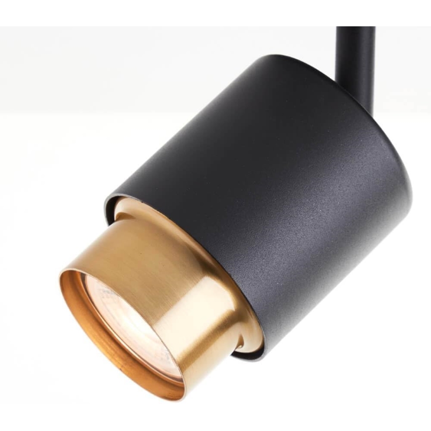 Brilliant - LED точково осветително тяло COVELO 3xGU10/5W/230V черно/златно