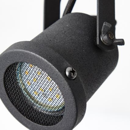 Brilliant - Спот осветително тяло INGE 2xGU10/6W/230V цвят бор