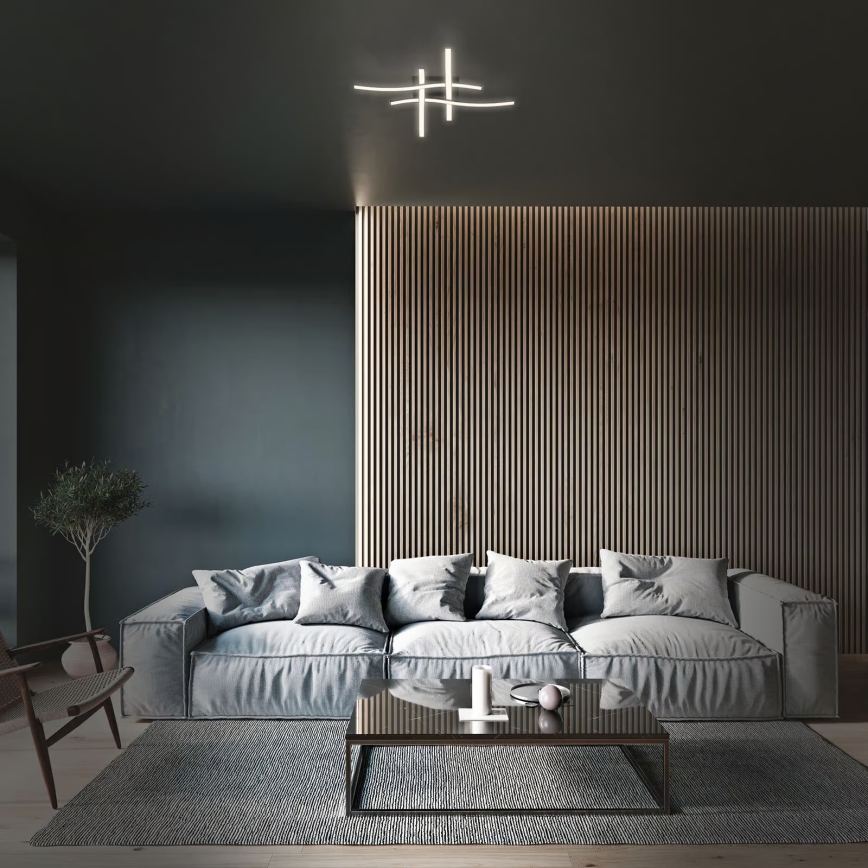 Brilo 3677-045 - LED плафон LED/14,4W/230V черен