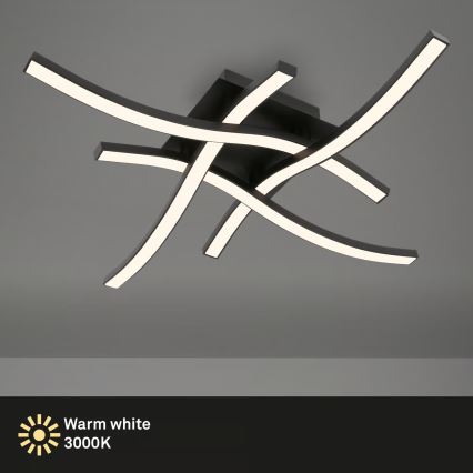 Brilo 3677-045 - LED плафон LED/14,4W/230V черен