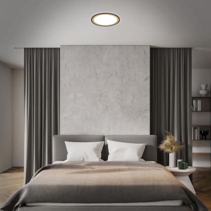 Brilo - LED Димируем плафон SLIM LED/22W/230V 2700-6500K + дистанционно управление