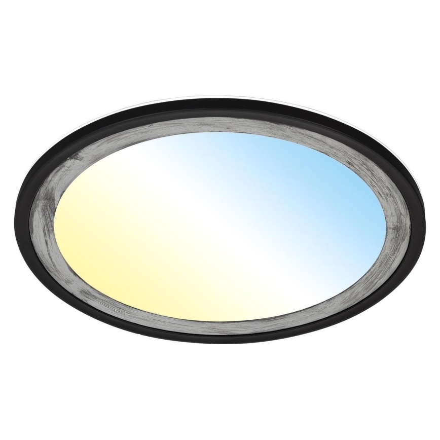 Brilo - LED Димируем плафон SLIM LED/22W/230V 2700-6500K + дистанционно управление