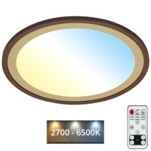 Brilo - LED Димируем плафон SLIM LED/22W/230V 2700-6500K + дистанционно управление