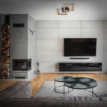 Brilo - LED Димируем полилей за повърхностен монтаж FRAME 2xLED/11W/230V