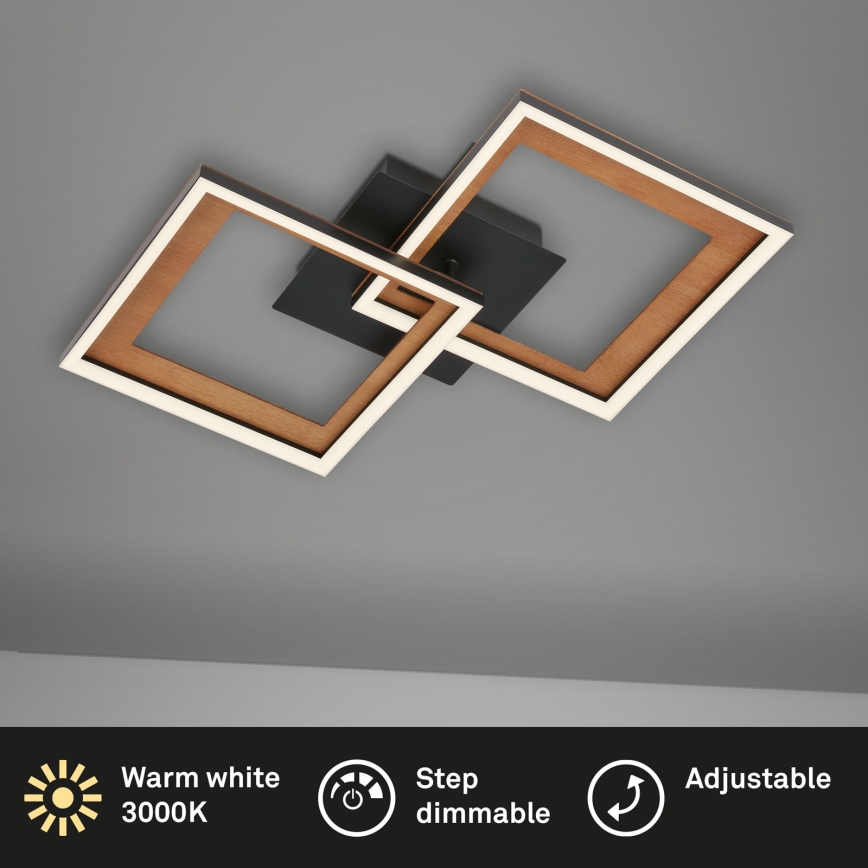 Brilo - LED Димируем полилей за повърхностен монтаж FRAME 2xLED/11W/230V