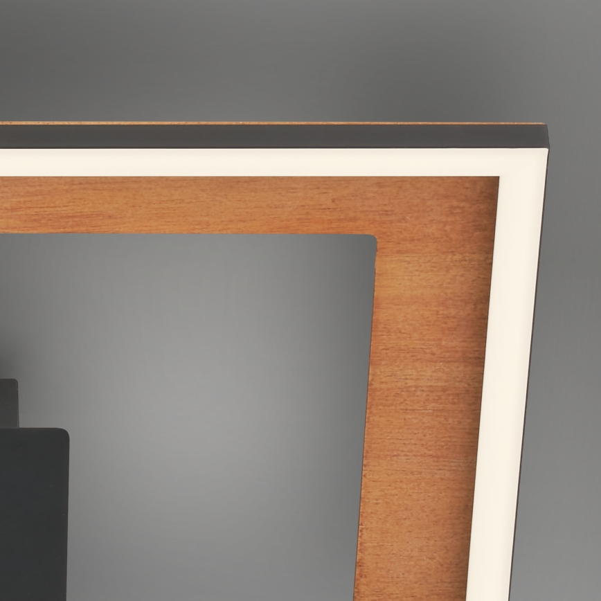 Brilo - LED Димируем полилей за повърхностен монтаж FRAME 2xLED/11W/230V