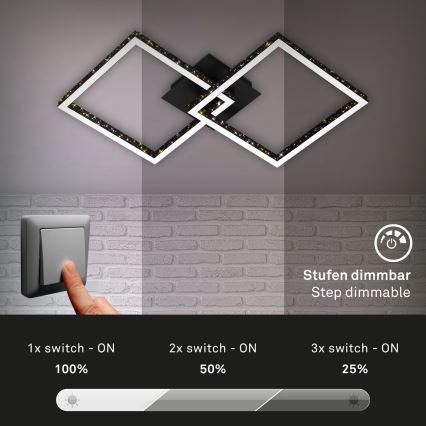 Brilo - LED Димируем полилей за повърхностен монтаж FRAME 2xLED/9W/230V