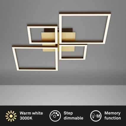 Brilo - LED Димируем полилей за повърхностен монтаж FRAME LED/44W/230V