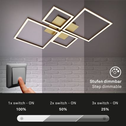 Brilo - LED Димируем полилей за повърхностен монтаж FRAME LED/44W/230V
