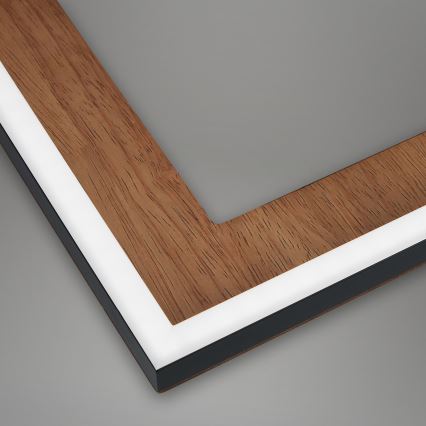 Brilo - LED Димируем полилей за повърхностен монтаж FRAME LED/45W/230V 2700-6500K + дистанционно управление
