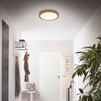 Brilo - LED Плафониера RUNA LED/24W/230V