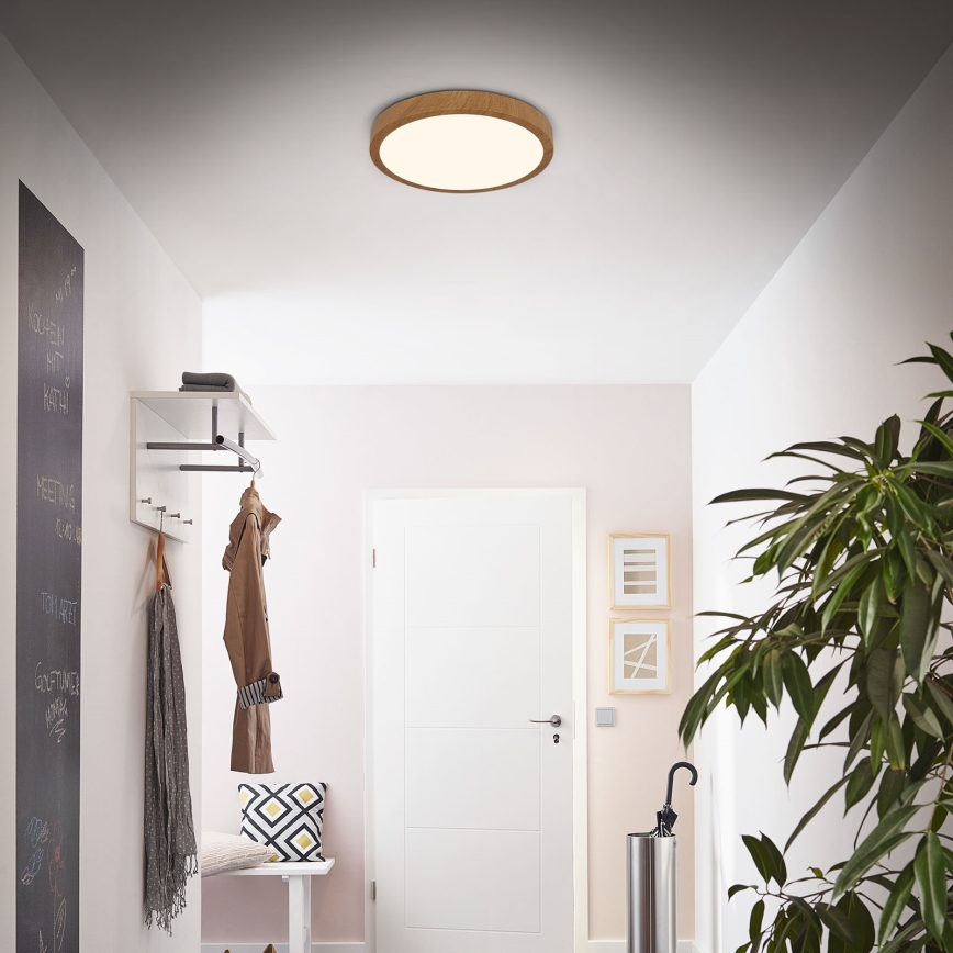 Brilo - LED Плафониера RUNA LED/24W/230V