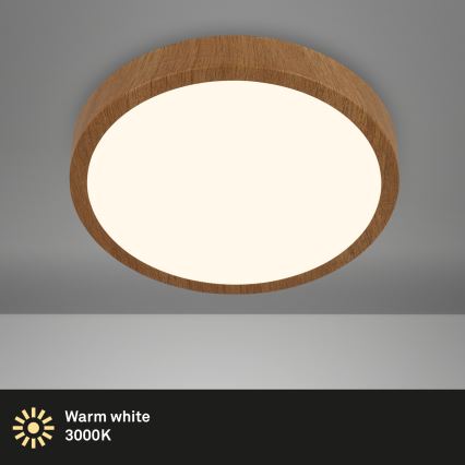 Brilo - LED Плафониера RUNA LED/24W/230V