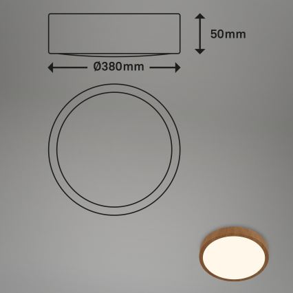 Brilo - LED Плафониера RUNA LED/24W/230V