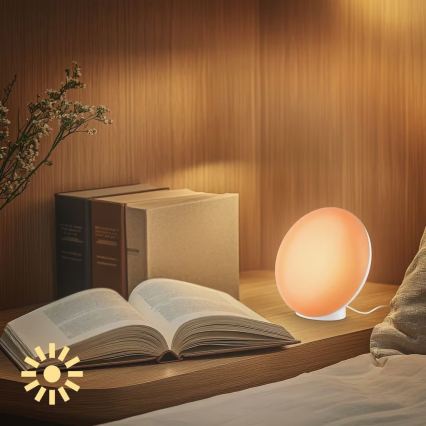 Brilo - LED RGBIC димируема презареждаема настолна лампа TARA LED/6W/5V 3000-6500K Wi-Fi Tuya + дистанционно управление