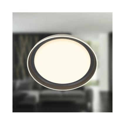 Brilo - LED таванно осветително тяло IJUS LED/24W/230V 3000K Ø 43 cm