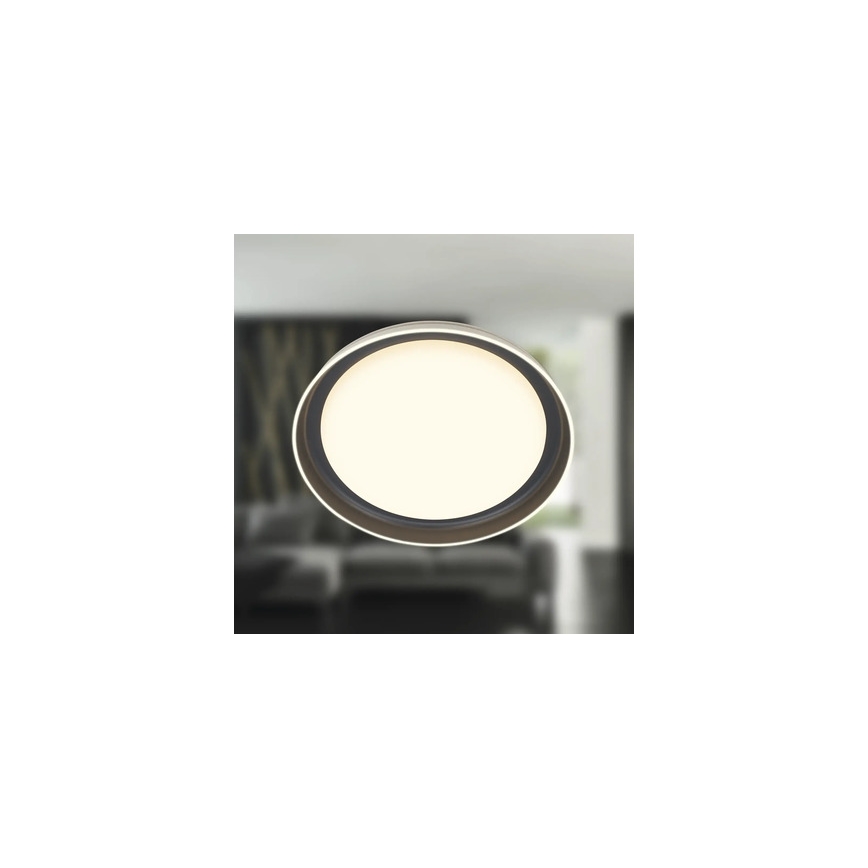 Brilo - LED таванно осветително тяло IJUS LED/24W/230V 3000K Ø 43 cm