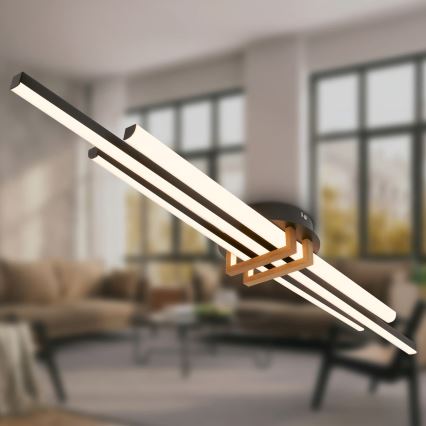 Brilo - LED таванно осветително тяло TINKA LED/30W/230V 3000K черно