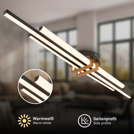 Brilo - LED таванно осветително тяло TINKA LED/30W/230V 3000K черно