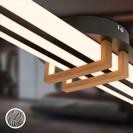 Brilo - LED таванно осветително тяло TINKA LED/30W/230V 3000K черно