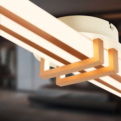 Brilo - LED таванно осветително тяло TINKA LED/30W/230V 3000K медно