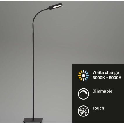 Briloner 1297-015 - LED Димируем гъвкав лампион LED/6,6W/230V 3000K/4000K/6000K