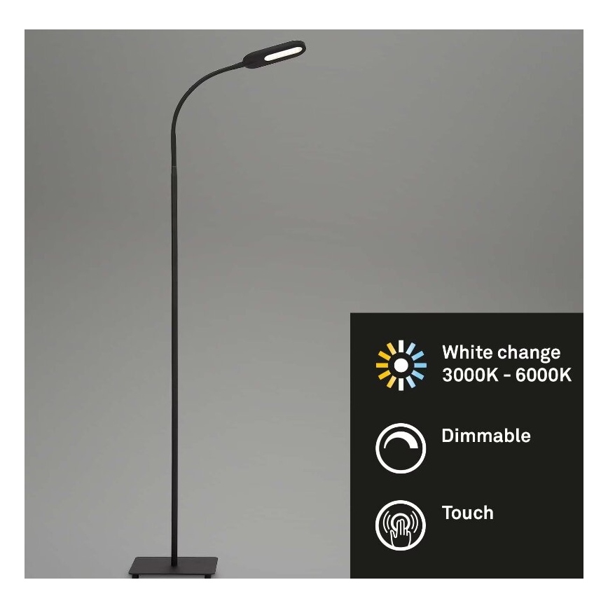 Briloner 1297-015 - LED Димируем гъвкав лампион LED/6,6W/230V 3000K/4000K/6000K