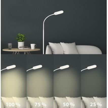Briloner 1297-016 - LED Димируем сензорен лампион LED/8W/230V 3000/4000/6000K