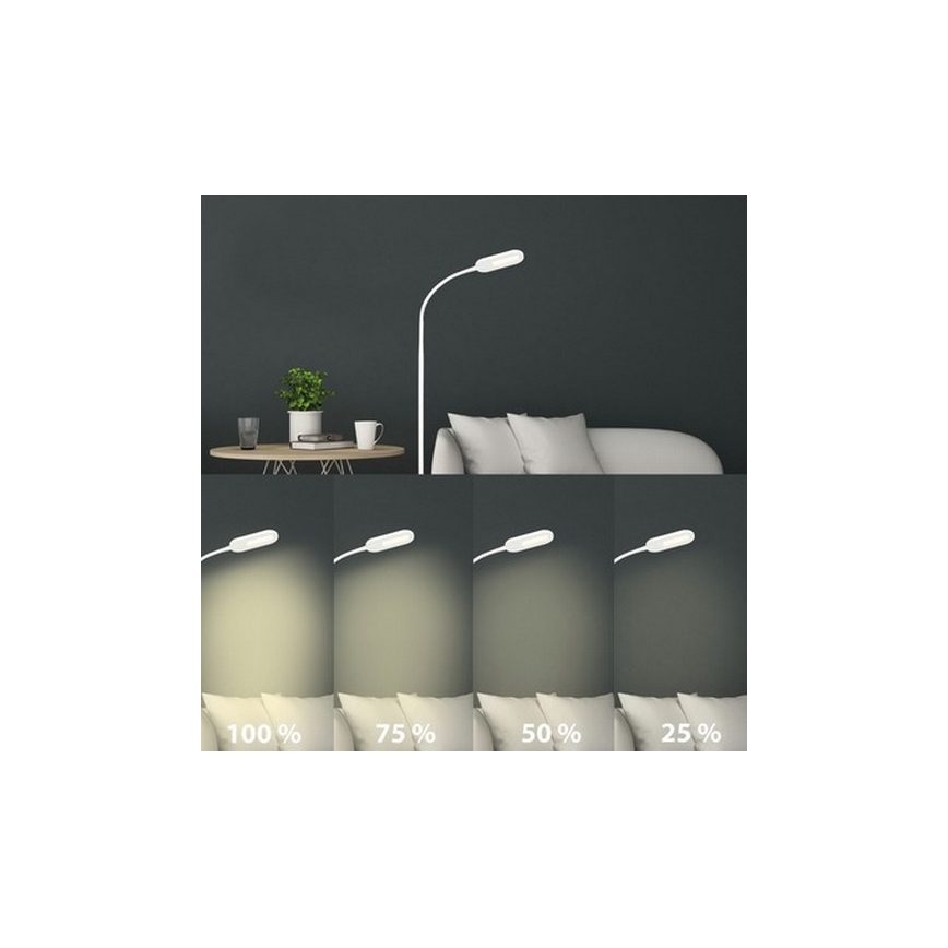Briloner 1297-016 - LED Димируем сензорен лампион LED/8W/230V 3000/4000/6000K